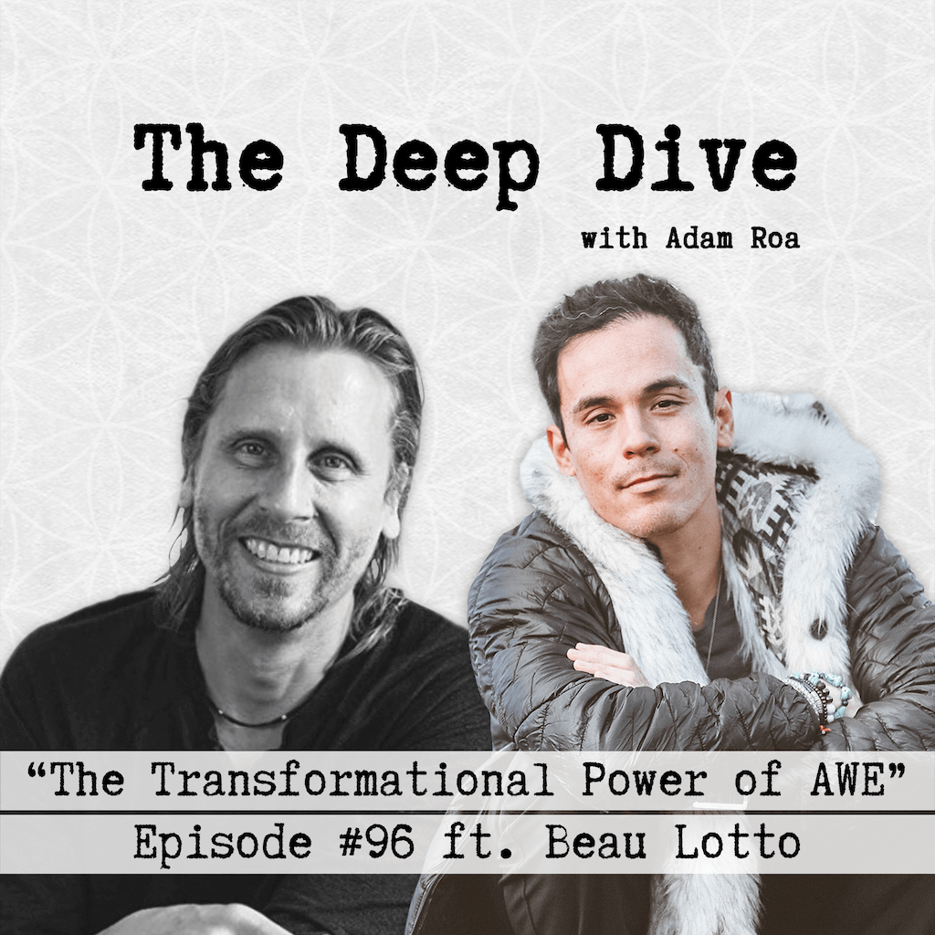 Deep Dive #96 | Beau Lotto - The Transformational Power of AWE